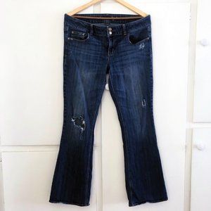 American Eagle Flare Jeans - Size 14